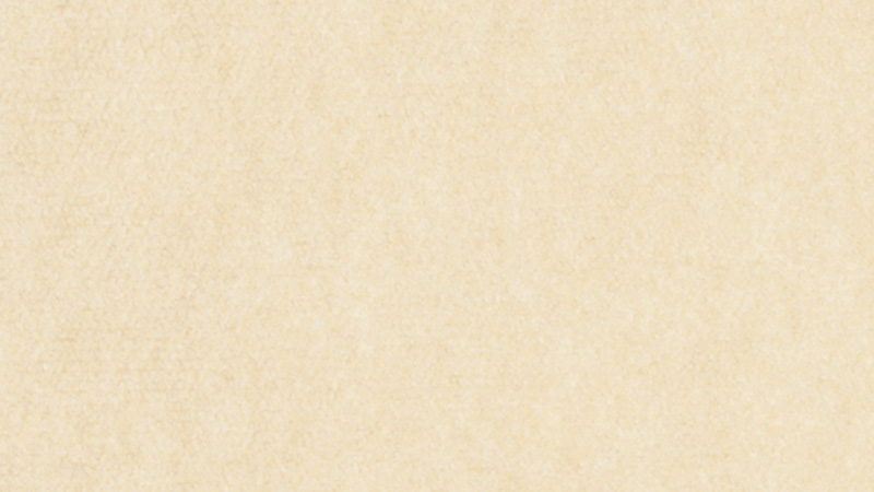 Teppich Rollenlänge +/- 50 m – Bild 6